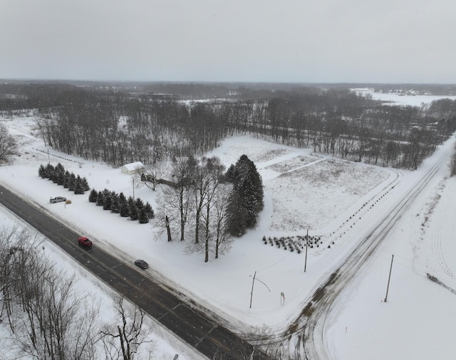 view of snowy aerial view