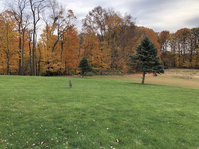 view of yard with a view of trees