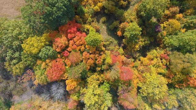 drone / aerial view with a forest view