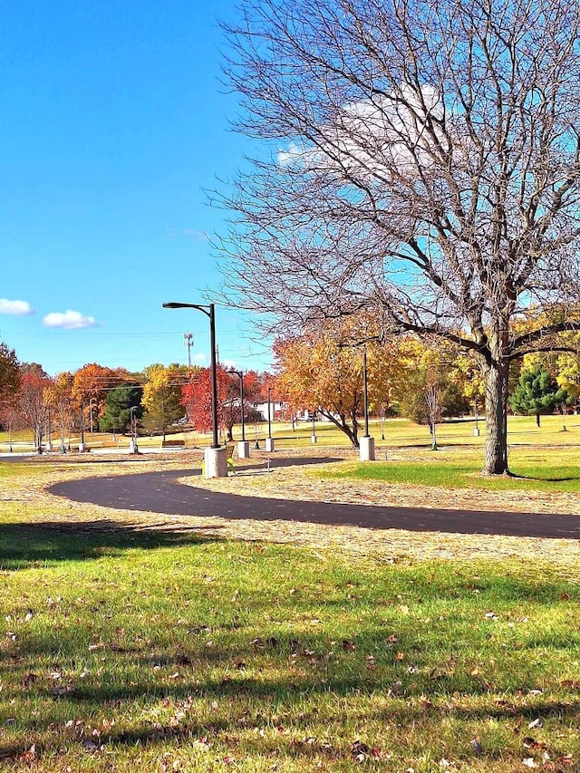 view of community featuring a yard