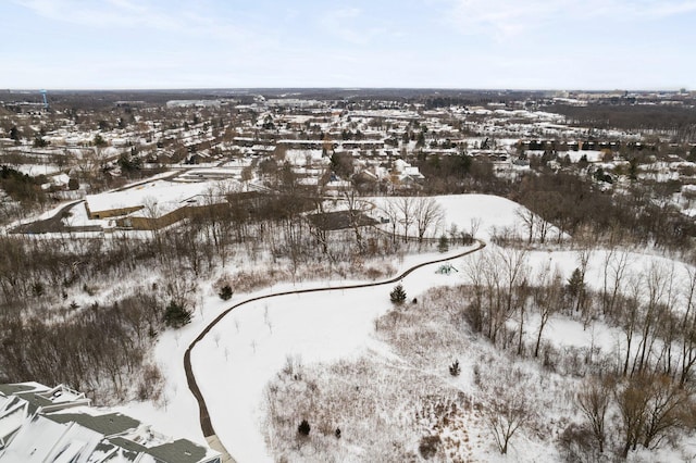 view of snowy aerial view