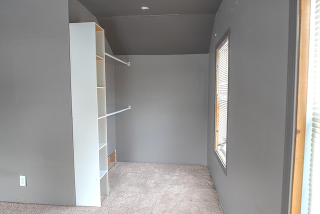 walk in closet with light colored carpet