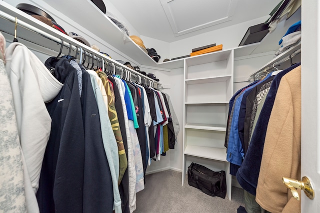 spacious closet with attic access and carpet flooring