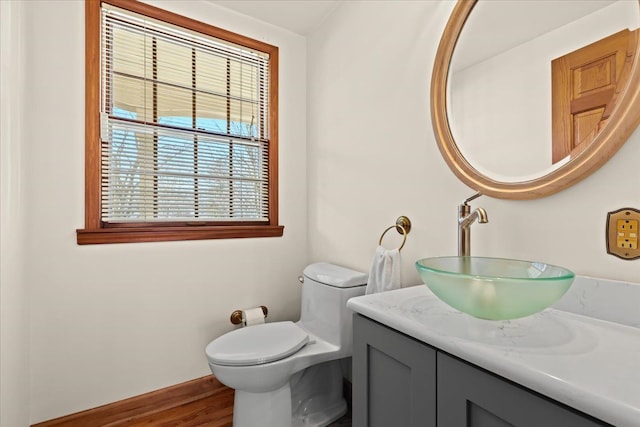 bathroom featuring toilet, vanity, and wood finished floors