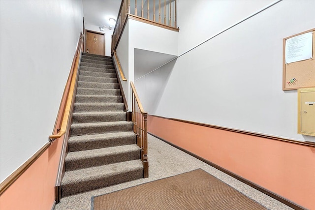 stairway with carpet