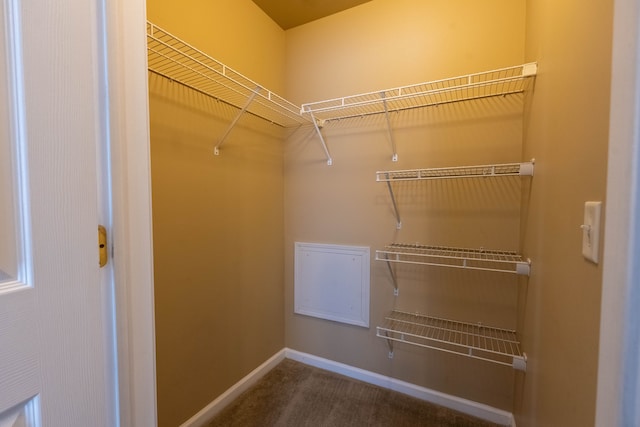 walk in closet with carpet floors