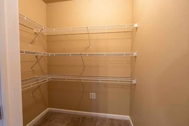 walk in closet featuring carpet flooring