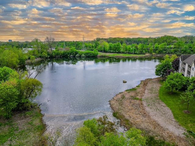 806 Brandon Ave, Pontiac, MI 48340 - water view