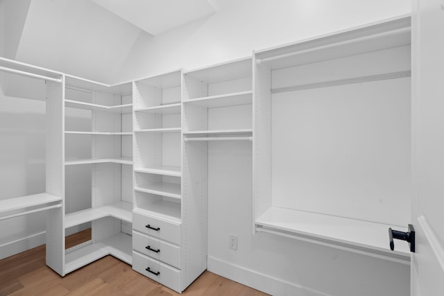 spacious closet featuring light wood-type flooring