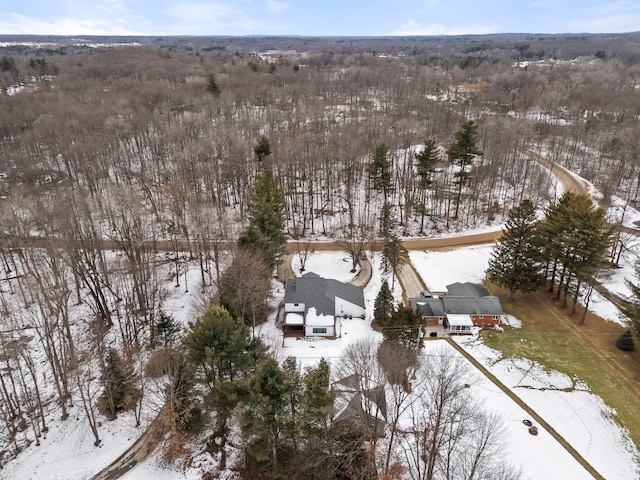 view of snowy aerial view