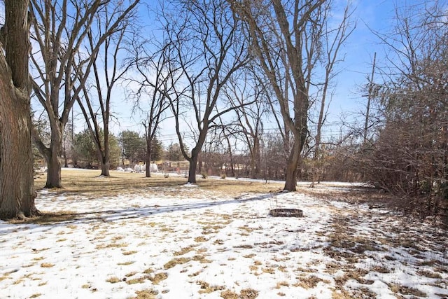 view of snowy yard