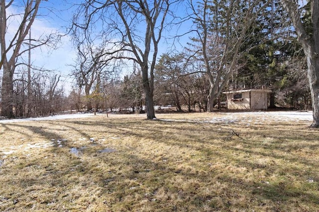 view of yard with an outdoor structure and a storage unit