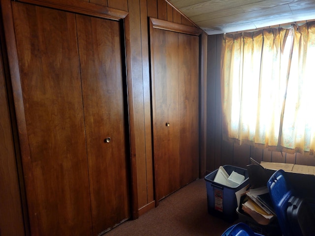 interior space with lofted ceiling, wood walls, and carpet flooring