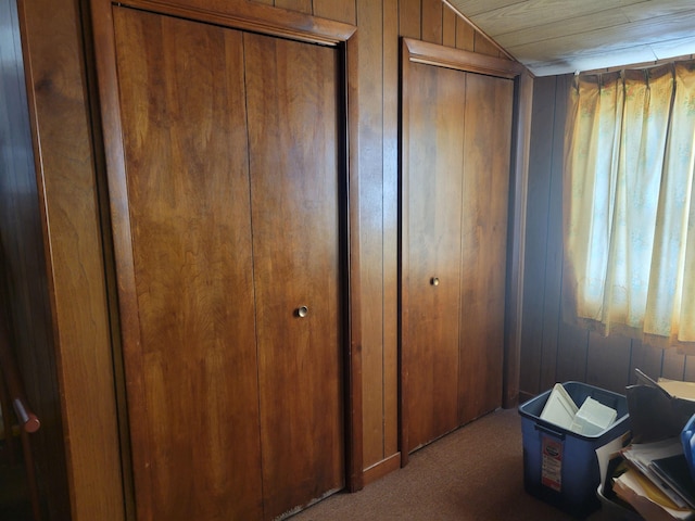 interior space featuring vaulted ceiling, wood walls, carpet, and two closets