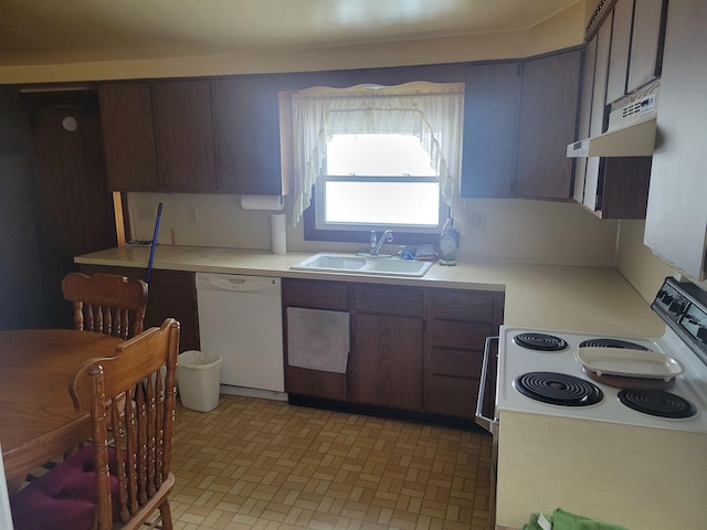 kitchen with dark brown cabinetry, white appliances, light countertops, under cabinet range hood, and a sink