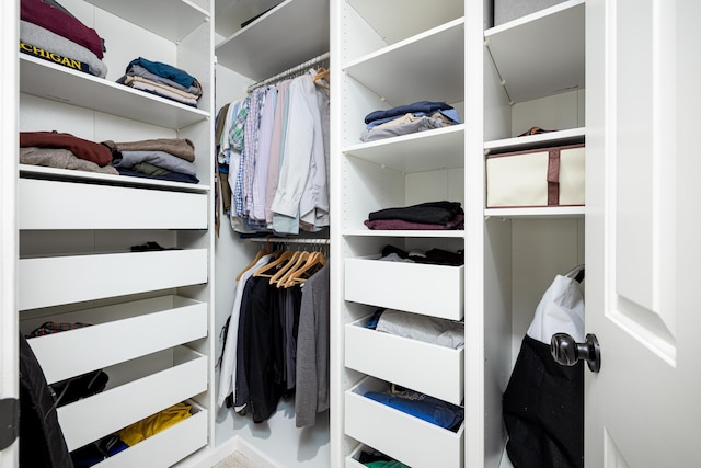 view of spacious closet