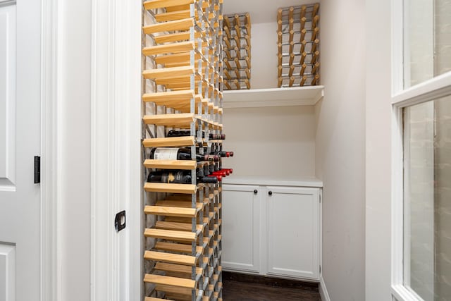 wine room featuring dark wood-type flooring