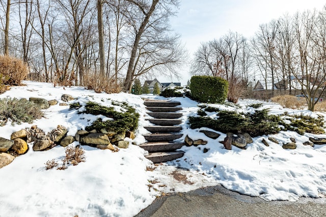 view of yard layered in snow