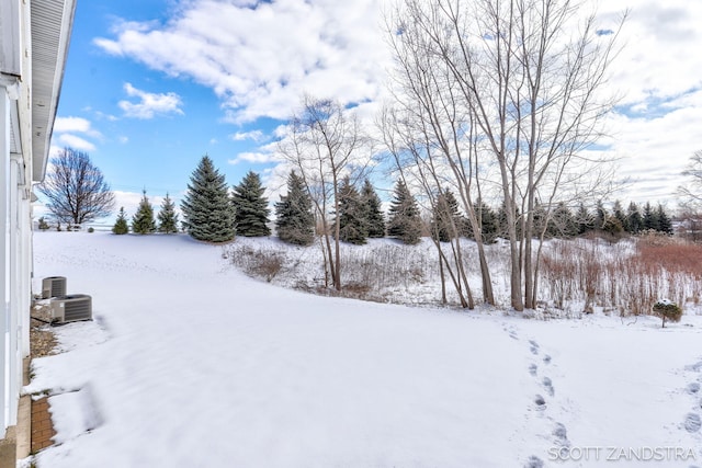 view of yard layered in snow