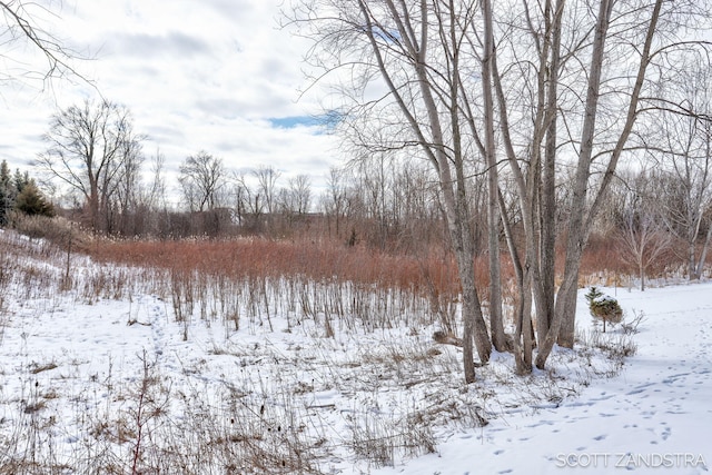 view of snowy landscape