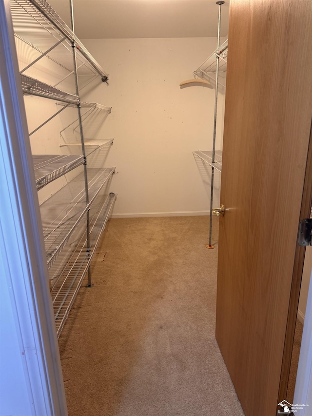 spacious closet with carpet flooring