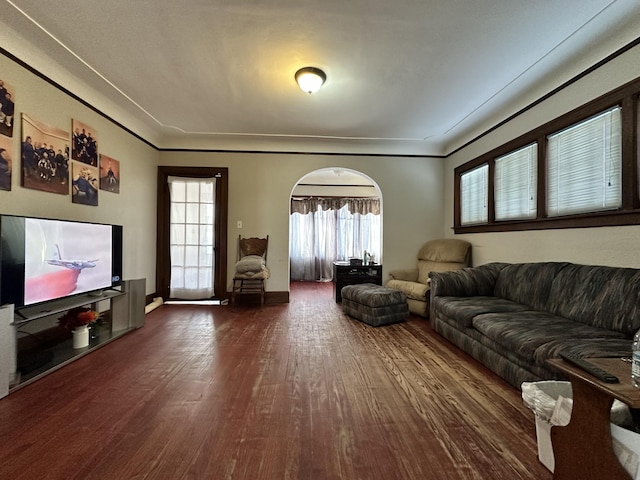 living area featuring dark wood-style floors, baseboards, and arched walkways