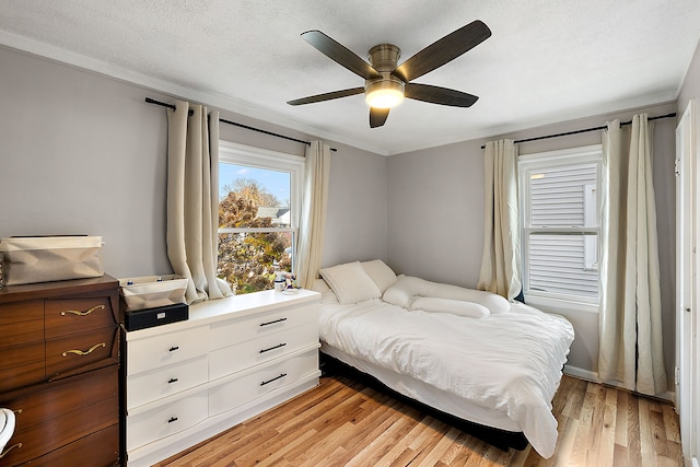 bedroom featuring ornamental molding, ceiling fan, light wood-style flooring, and a textured ceiling