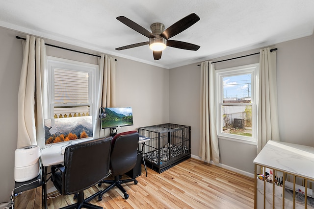 home office featuring light wood-style flooring, baseboards, a ceiling fan, and ornamental molding