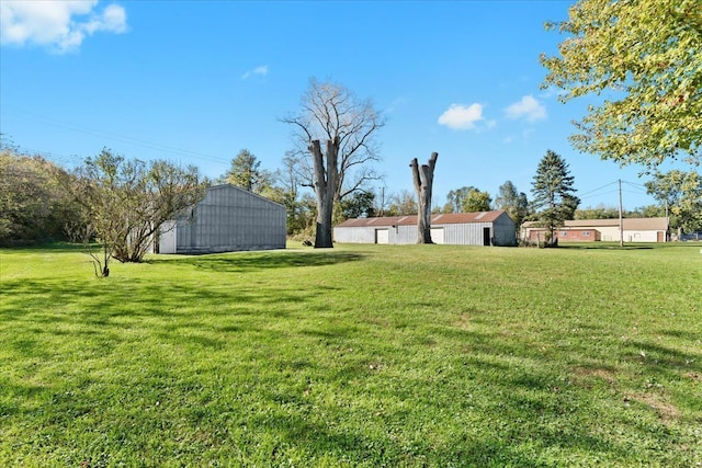 view of yard with an outbuilding