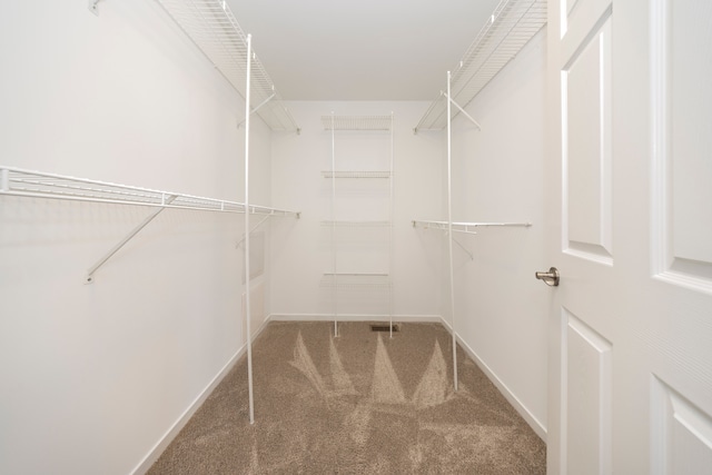 walk in closet with carpet flooring