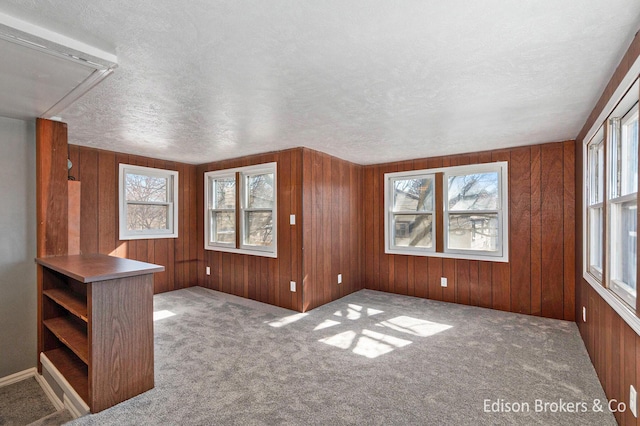 carpeted empty room featuring wood walls, attic access, and a textured ceiling