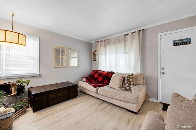 living room featuring wood finished floors