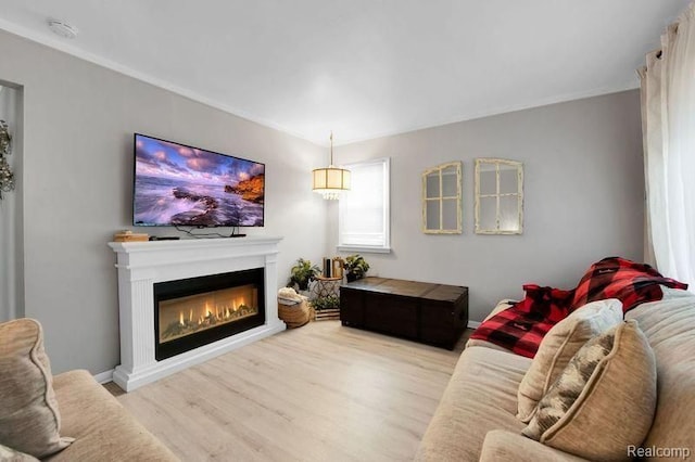 11235 Lozier Ave, Warren, MI 48089 - living area with baseboards, wood finished floors, and a glass covered fireplace