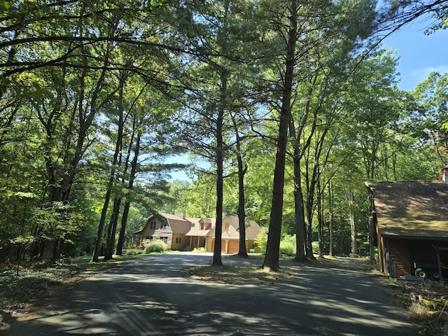 view of street with aphalt driveway