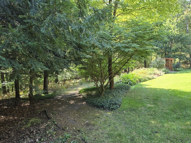 view of yard featuring a view of trees