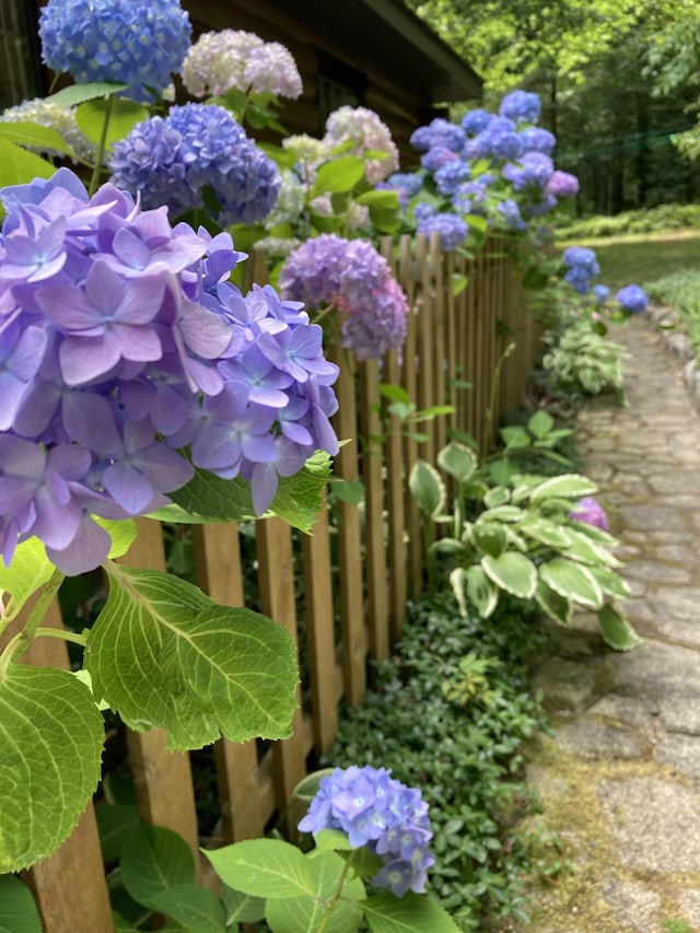 details with fence