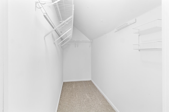 walk in closet with vaulted ceiling and carpet