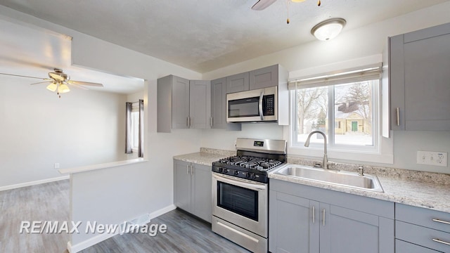 kitchen featuring ceiling fan, a sink, light wood-style floors, appliances with stainless steel finishes, and gray cabinets