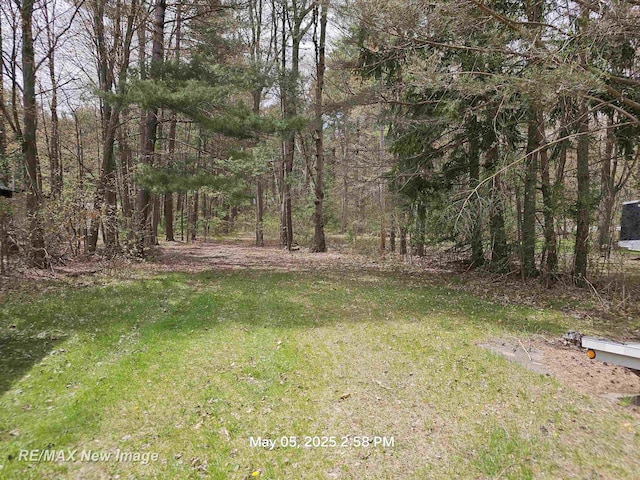 5243 Martin Rd, Beaverton, MI 48612 - view of yard featuring a forest view