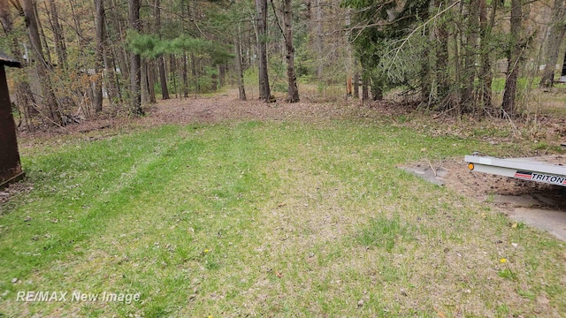 5243 Martin Rd, Beaverton, MI 48612 - view of yard featuring a view of trees