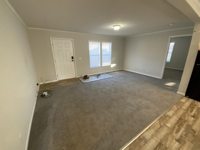 interior space with baseboards, carpet floors, and crown molding