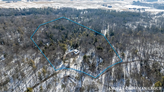 snowy aerial view featuring a forest view