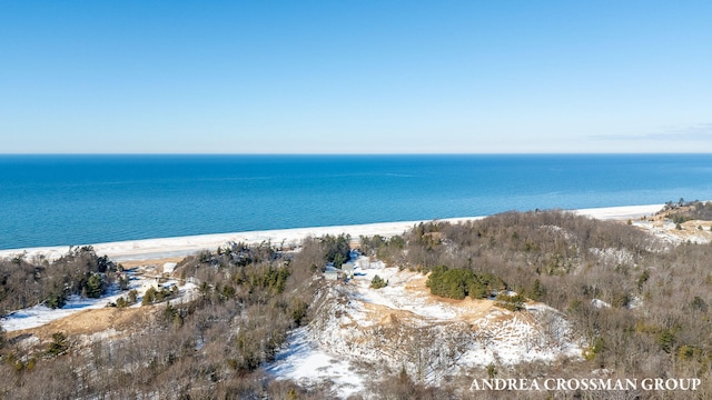 property view of water featuring a view of the beach