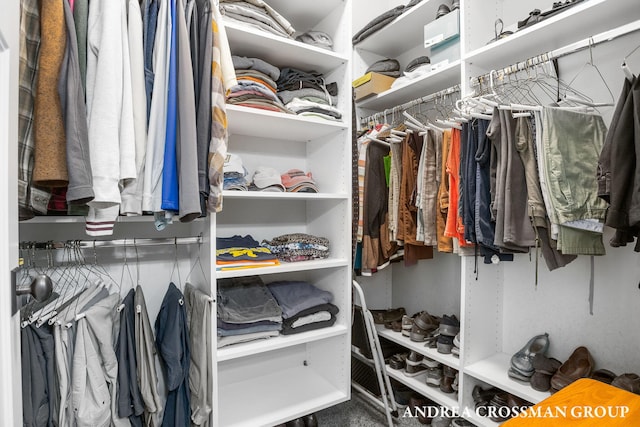 view of spacious closet