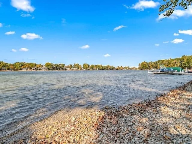 property view of water with a dock