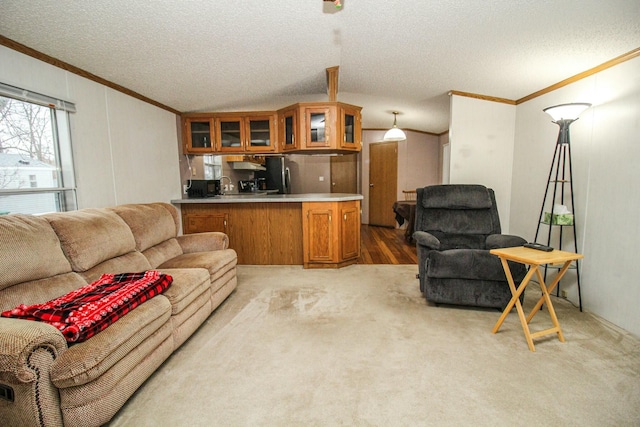 living room featuring a textured ceiling, light carpet, lofted ceiling, and crown molding