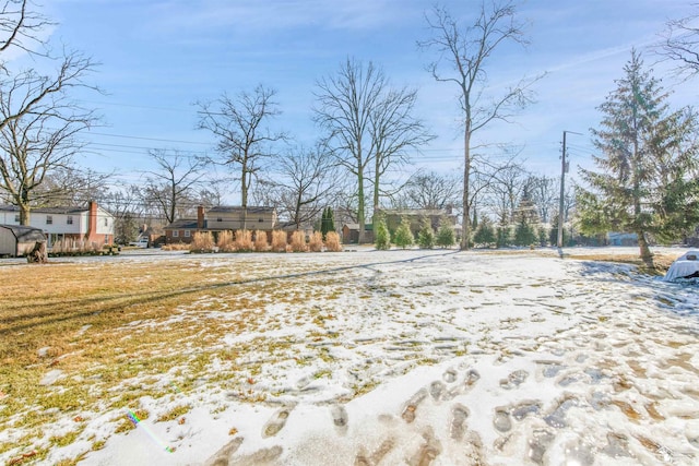 view of yard layered in snow