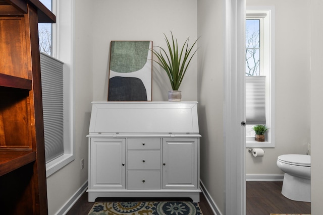 interior space with vanity, wood finished floors, toilet, and baseboards