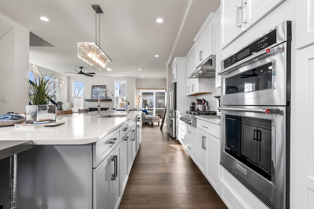 kitchen with dark wood-style floors, stainless steel appliances, light countertops, under cabinet range hood, and a sink