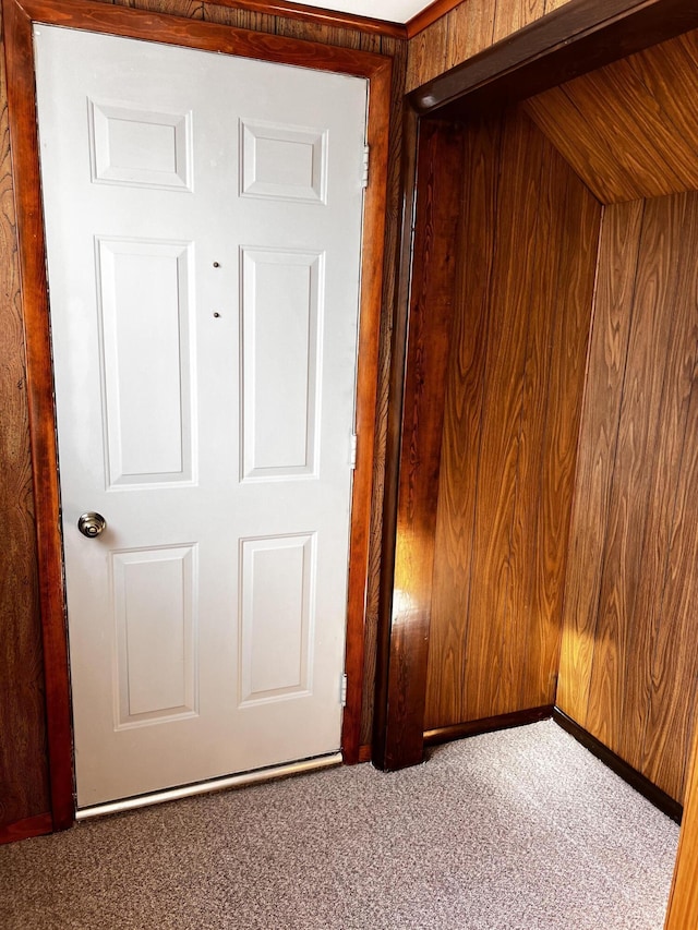 details featuring carpet and wooden walls